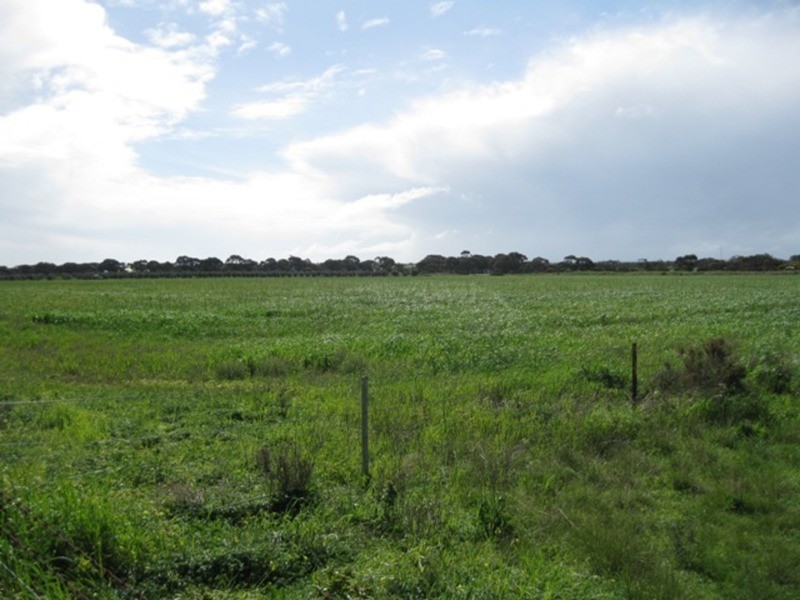 Sec 664 Martin Terrace, Kadina SA 5554