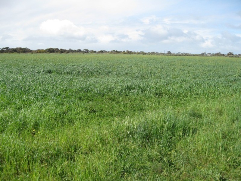 Sec 664 Martin Terrace, Kadina SA 5554