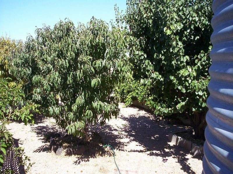 51 Harbison Road, Wallaroo SA 5556