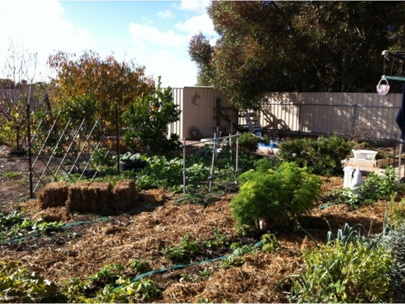 39 Lipson Road, Kadina SA 5554