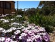 Sec/277 Kadina Bute Road, Bute SA 5560
