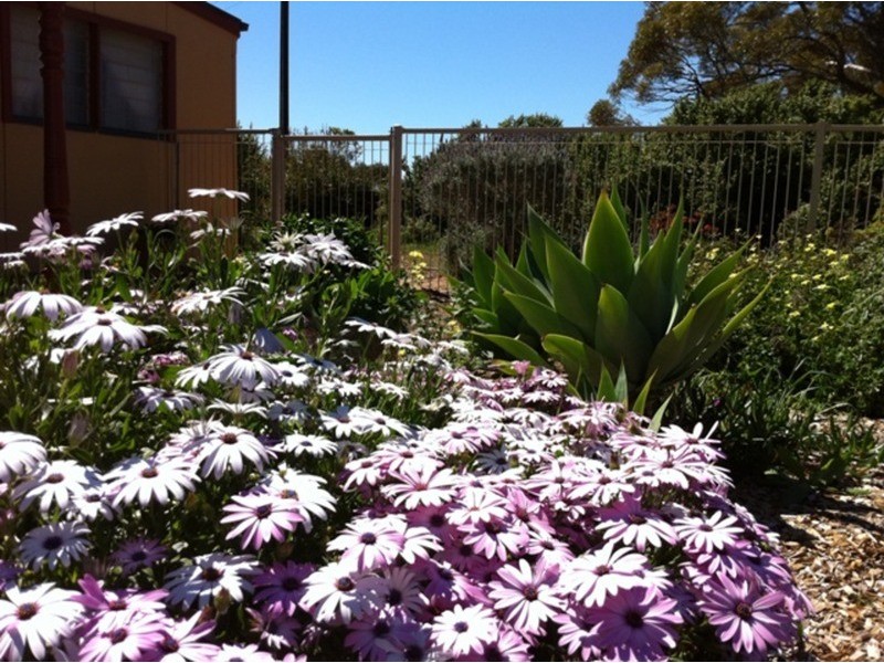 Sec/277 Kadina Bute Road, Bute SA 5560