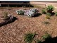 Sec/277 Kadina Bute Road, Bute SA 5560