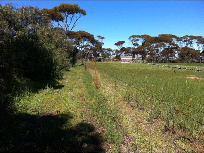 Sec/277 Kadina Bute Road, Bute SA 5560
