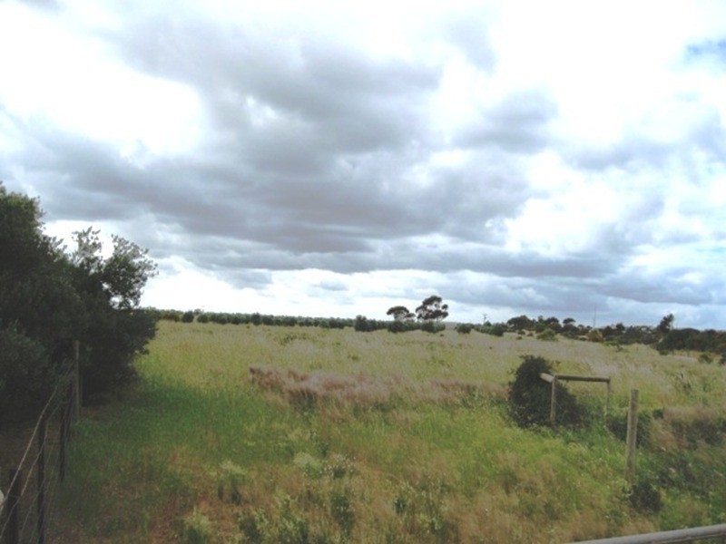 Lot/662 Martin Terrace, Kadina SA 5554