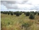 Lot/662 Martin Terrace, Kadina SA 5554