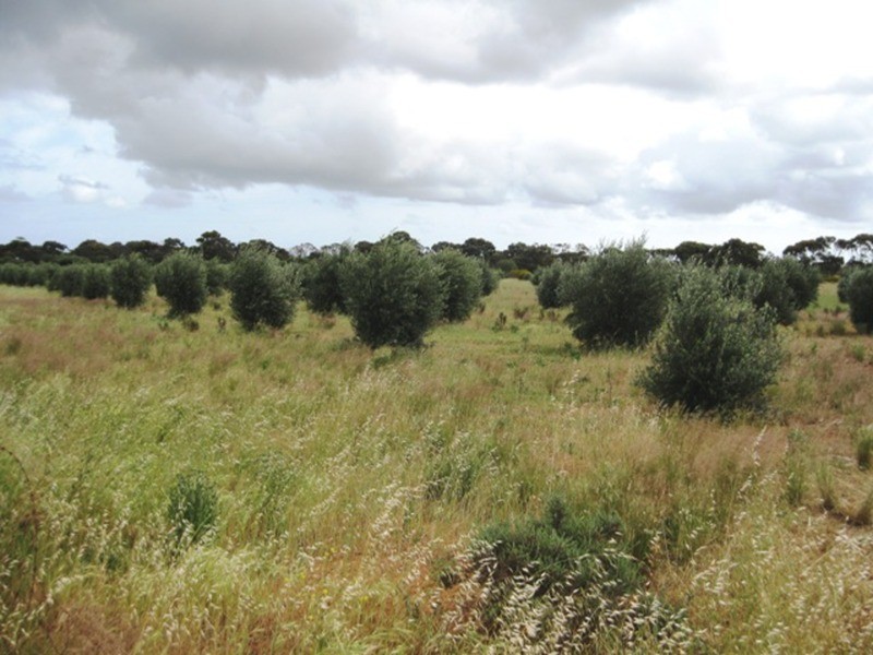 Lot/662 Martin Terrace, Kadina SA 5554
