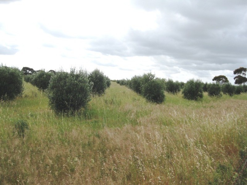 Lot/662 Martin Terrace, Kadina SA 5554