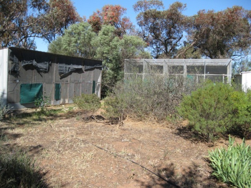 Lot/668 Nantawarra Road, South Hummocks SA 5550