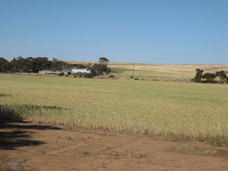 Lot/668 Nantawarra Road, South Hummocks SA 5550