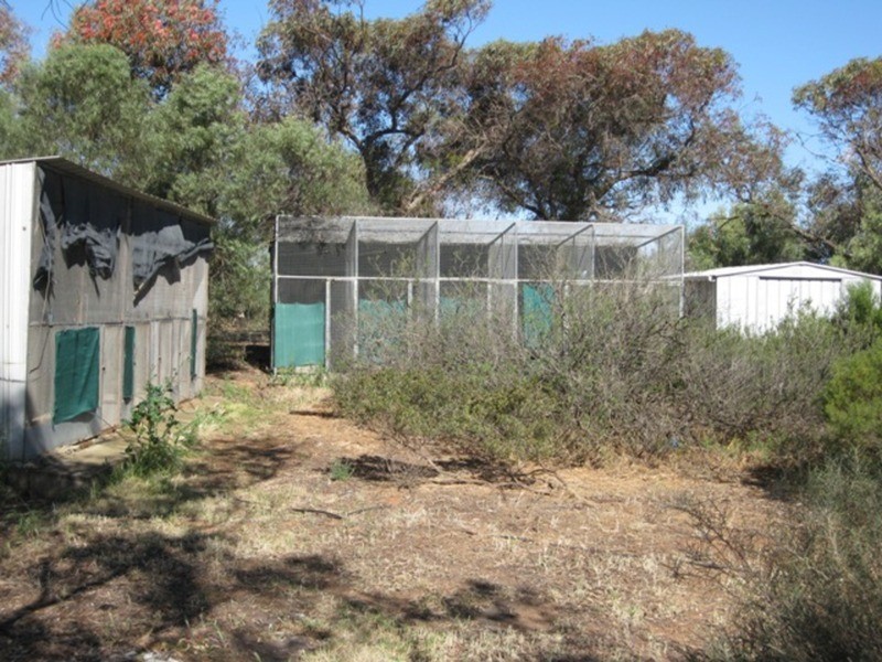 Lot/668 Nantawarra Road, South Hummocks SA 5550
