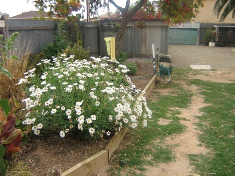 17 Hughes Street, Wallaroo SA 5556