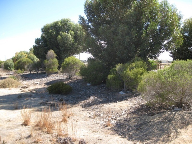 20 Pamir Court, Wallaroo SA 5556