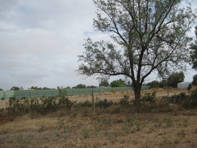 22 Lipson Road, Kadina SA 5554