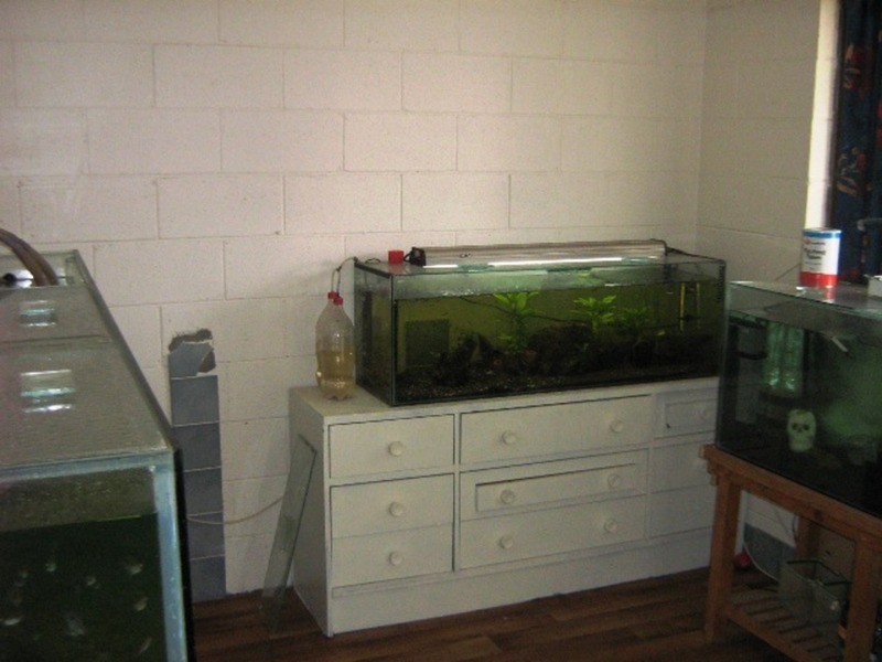 35 Powell Terrace, Kadina SA 5554