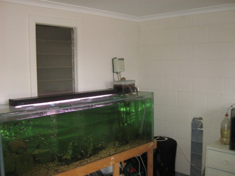 35 Powell Terrace, Kadina SA 5554