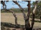 Lot 34 Jackson Road, Victor Harbor SA 5211