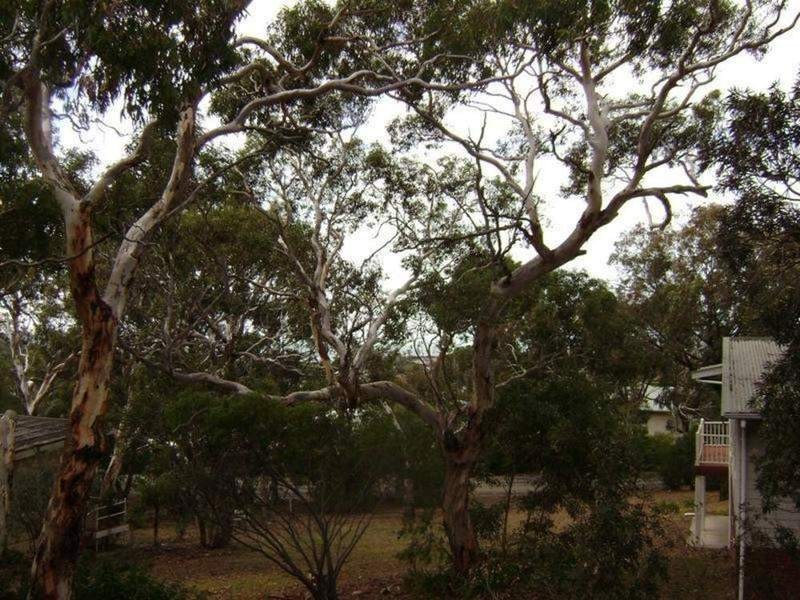 34 Pine Avenue, Victor Harbor SA 5211