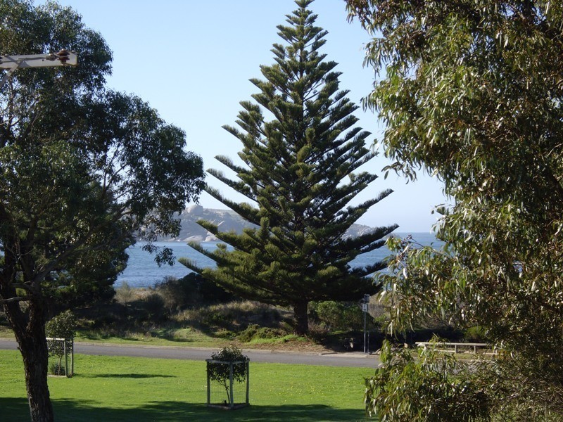 3/1 Harbour View Terrace, Encounter Bay SA 5211