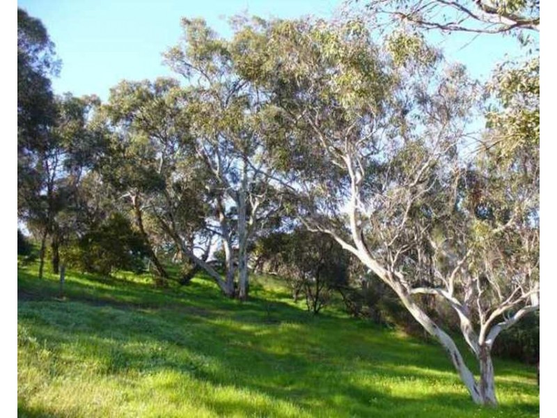 Lot 22 Cartwright Road, Victor Harbor SA 5211