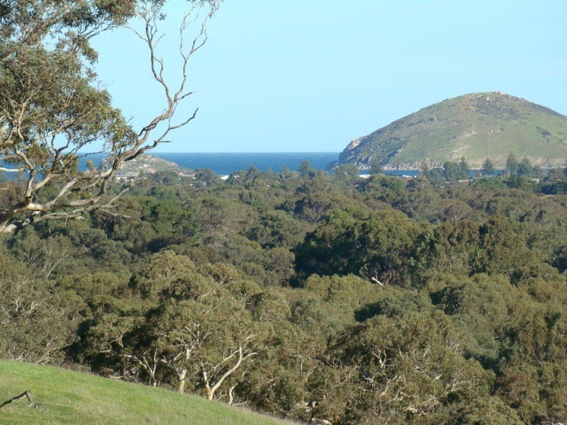 Lot 11 Finnis Road, Victor Harbor SA 5211