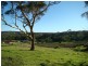 Lot 11 Finnis Road, Victor Harbor SA 5211