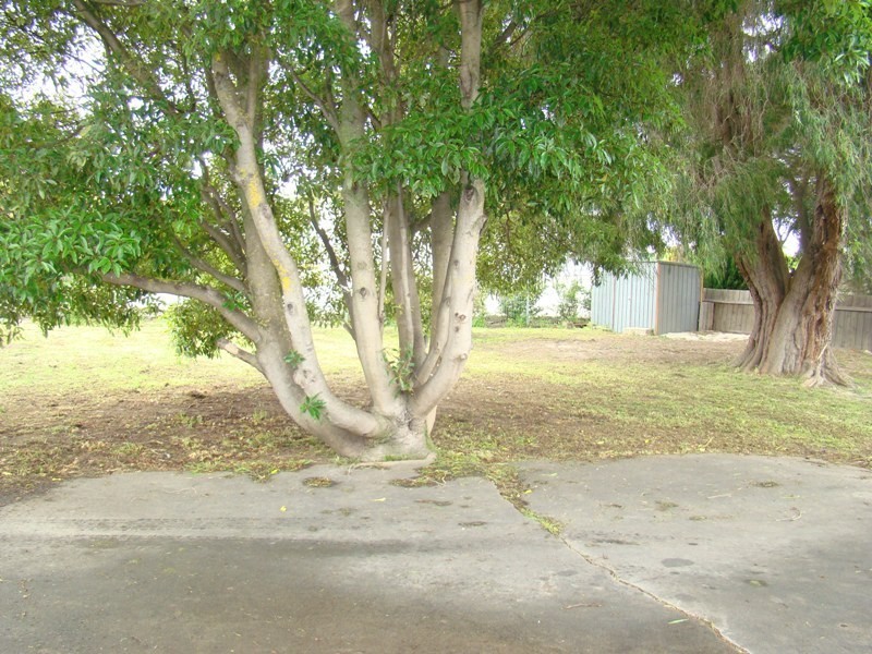 66 Seaview Road, Victor Harbor SA 5211