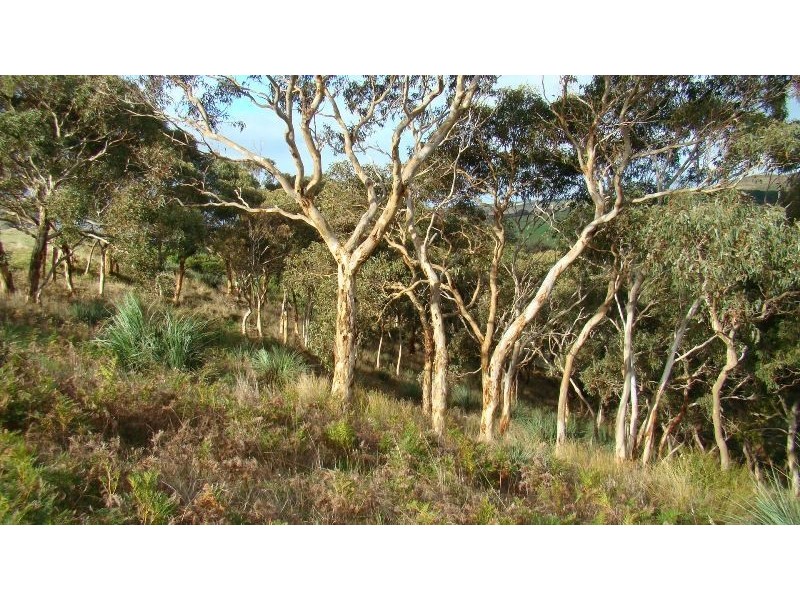 Lot 15 Back Valley Road, Back Valley SA 5211