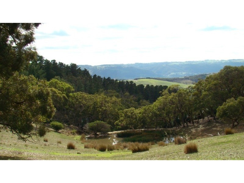 Lot 25 Mt Robinson Road, Back Valley SA 5211