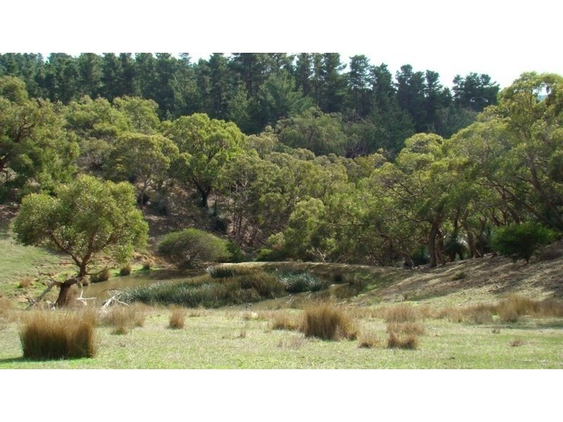 Lot 25 Mt Robinson Road, Back Valley SA 5211