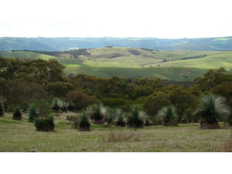 Lot 25 Mt Robinson Road, Back Valley SA 5211