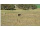 Lot 15 Back Valley Road, Back Valley SA 5211
