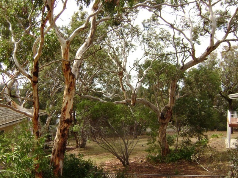 34 Pine Avenue, Victor Harbor SA 5211