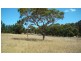 Lot 9 Henderson Road, Victor Harbor SA 5211