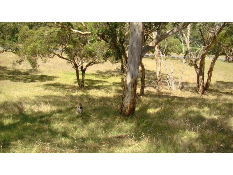 Lot 8 Henderson Road, Victor Harbor SA 5211