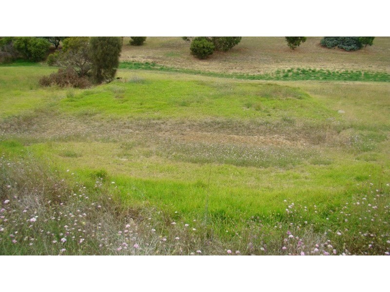 61 Battye Road, Encounter Bay SA 5211