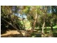 82 Rapid Drive, Mccracken SA 5211