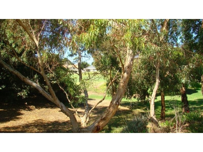 82 Rapid Drive, Mccracken SA 5211