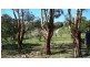 117 Glassenbury Drive, Encounter Bay SA 5211