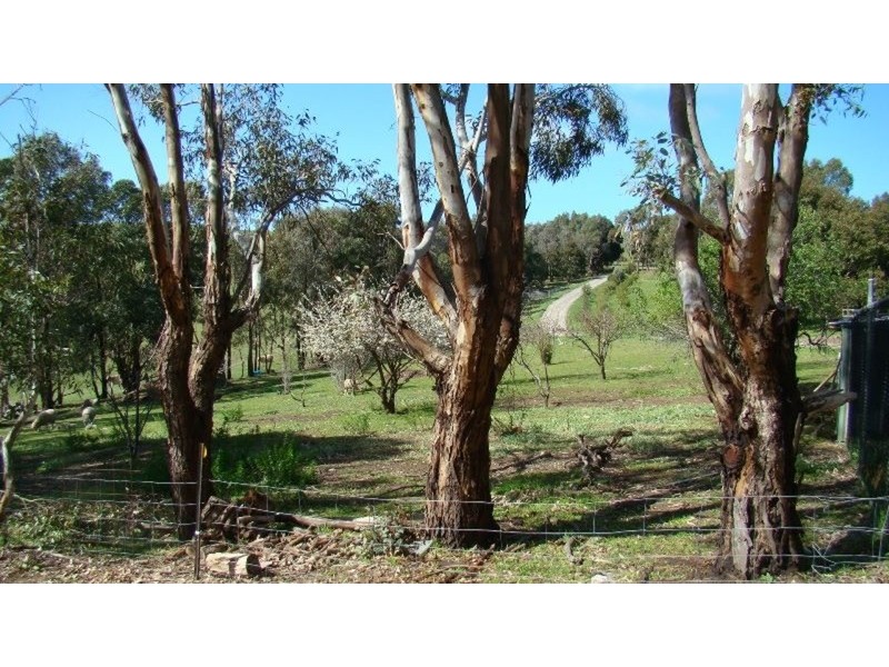 117 Glassenbury Drive, Encounter Bay SA 5211