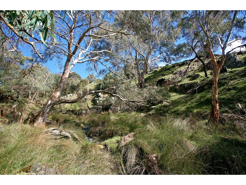 117 Glassenbury Drive, Encounter Bay SA 5211