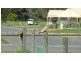 1 Arabian Court, Hindmarsh Valley SA 5211