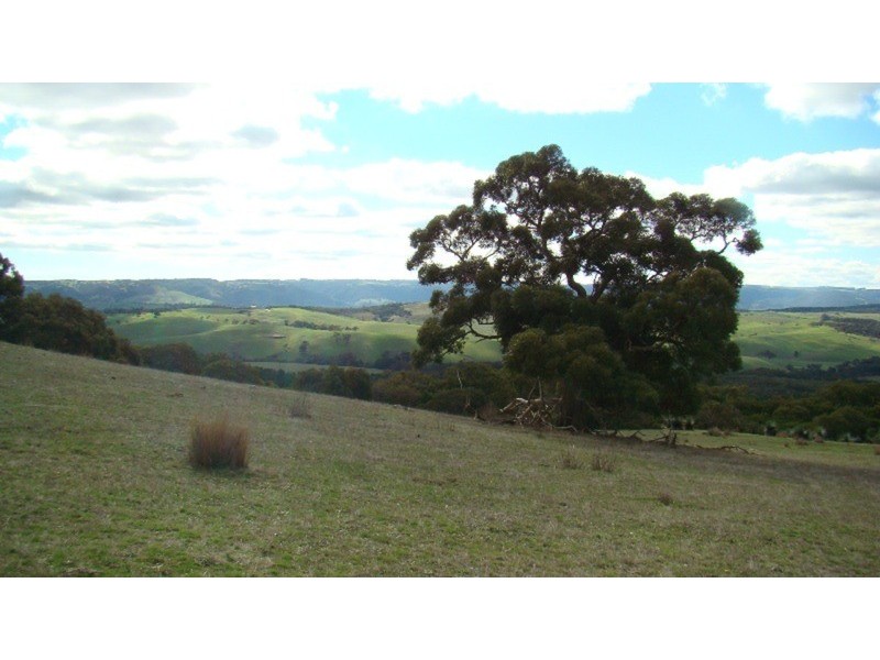 Lot 25 Mt Robinson  Road, Back Valley SA 5211