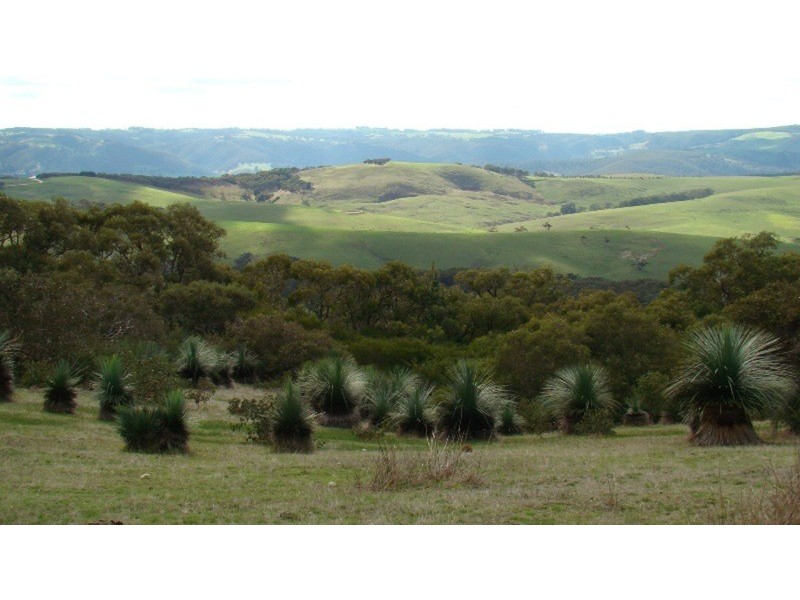 Lot 25 Mt Robinson  Road, Back Valley SA 5211