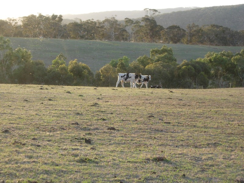 42 Parsons  Road, Inman Valley SA 5211