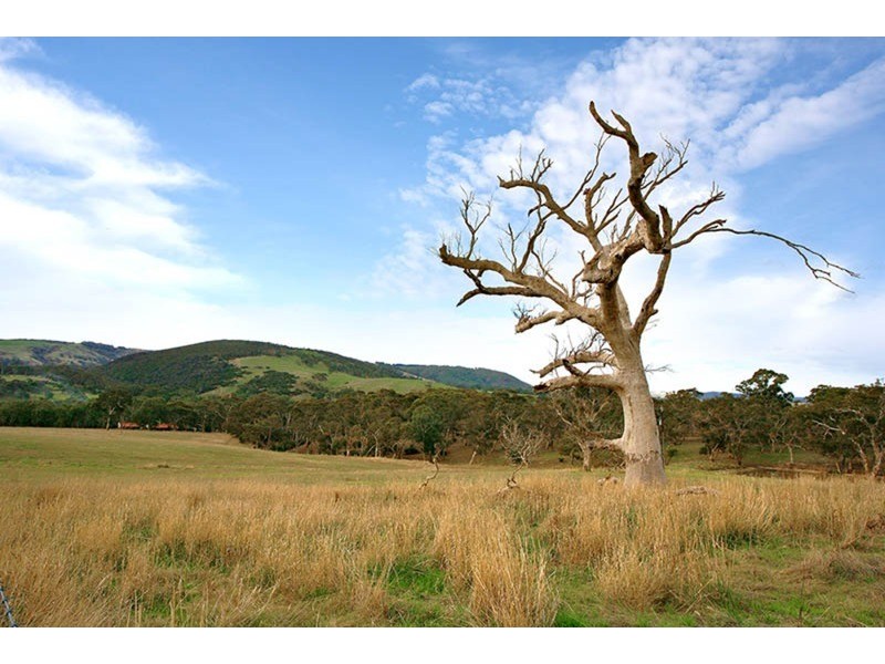 42 Parsons  Road, Inman Valley SA 5211