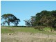 547 Parawa Road, Parawa SA 5203