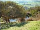 547 Parawa Road, Parawa SA 5203