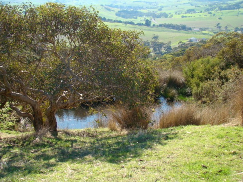 547 Parawa Road, Parawa SA 5203