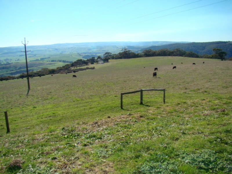 547 Parawa Road, Parawa SA 5203